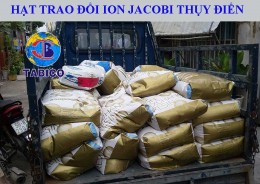 Hat nhua trao doi ion Jacobi Thuy Dien